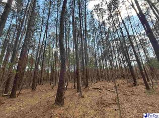 E Springbranch Rd, Effingham, SC 29541