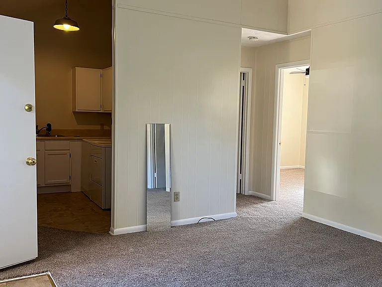 Vaulted ceiling in living room