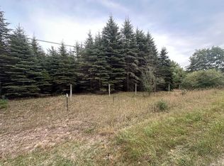 LOT B1 N Jebavy Dr, Ludington, MI 49431