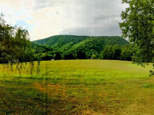 0 Arnolds Valley Piney Mountain Rd, Natural Bridge, VA 24578