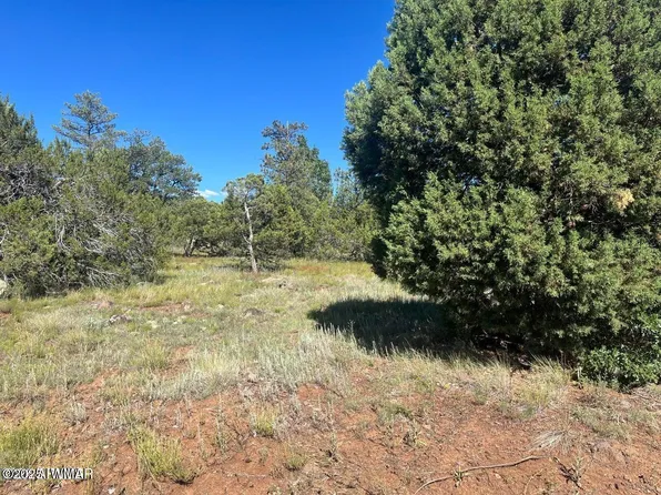 5020 Bison Trl, Lakeside, AZ 85929