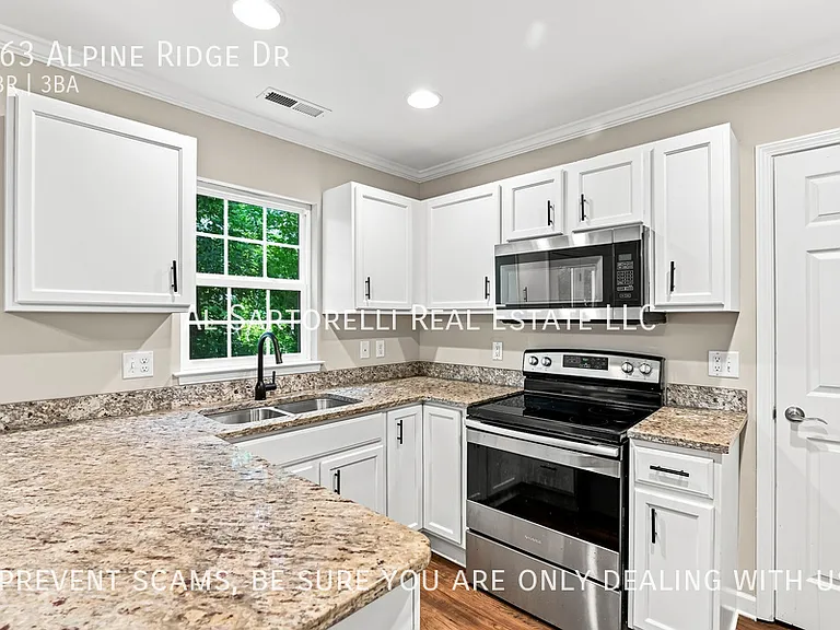 163 Alpine Ridge Dr — Photo 12