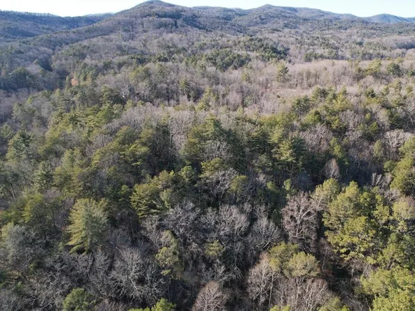 1 Miller Rock Rd #64, Ellijay, GA 30540