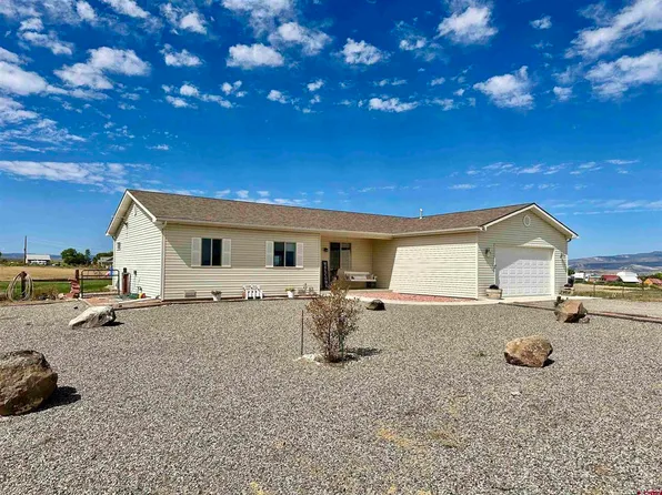 12896 Holgate Lane, Delta, CO 81416