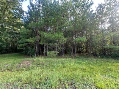 108 Blanchard Ln, Jamestown, SC, 29453