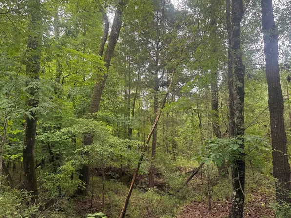 1 Sandy Cross Rd NE, Crawfordville, GA 30631