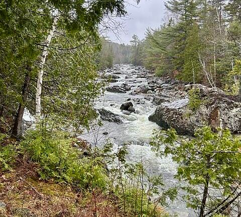 5th image of 1264 Carrabassett Drive