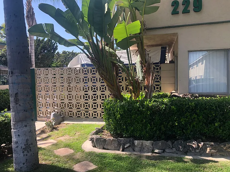 223 & 229 E Clifton Ave — Photo 12