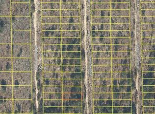 Iowa Avenue Lot #24, Hawthorne, FL 32640