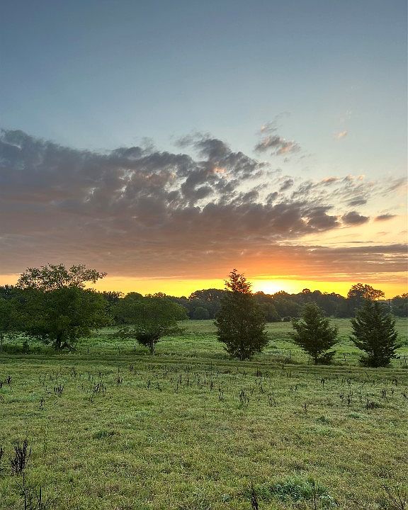 1st image of LOT 4 County Road 4265