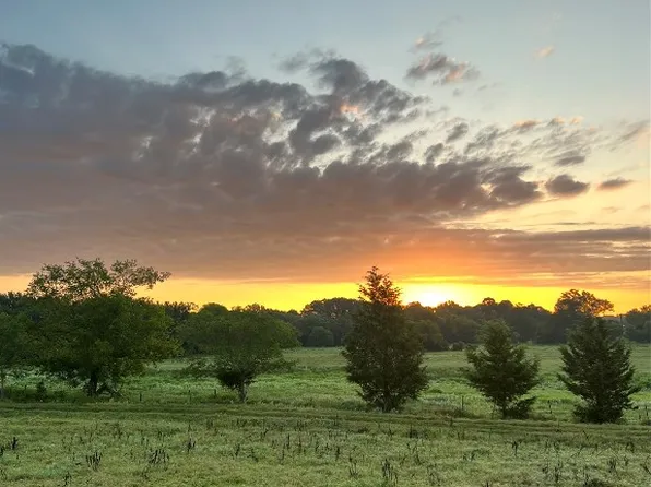 LOT 4 County Road 4265, De Kalb, TX 75559