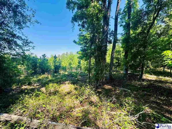 Grants Mill Rd W, Bennettsville, SC 29512