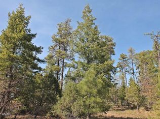 2177 W Rim Rd, Lakeside, AZ 85929
