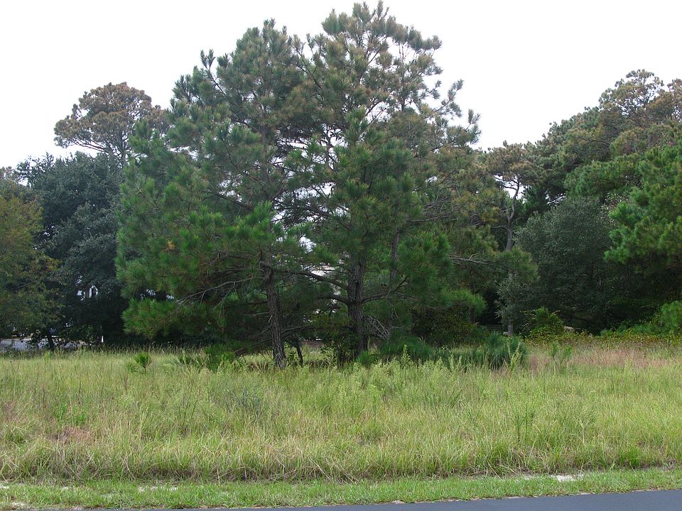 Level with nice elevation