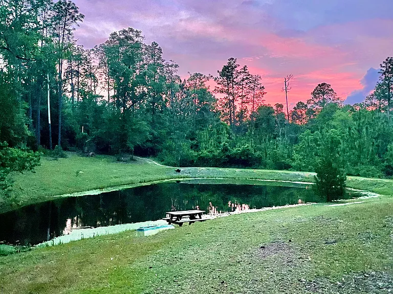 Wild Turkey Rd — Photo 10