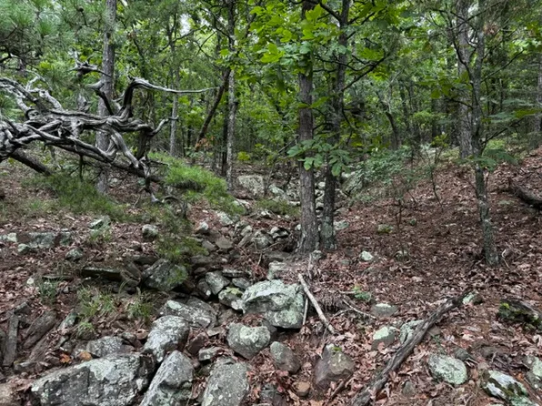 W Boggy Mountain Rd, Red Oak, OK 74563