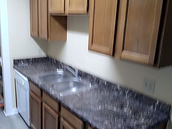 Dishwasher, Sink, And Cabine