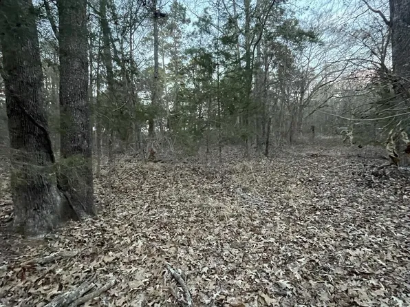 County Road 2182, Whitehouse, TX 75791