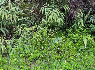 14-3574 Oahu Rd LOT 77, Pahoa, HI 96778