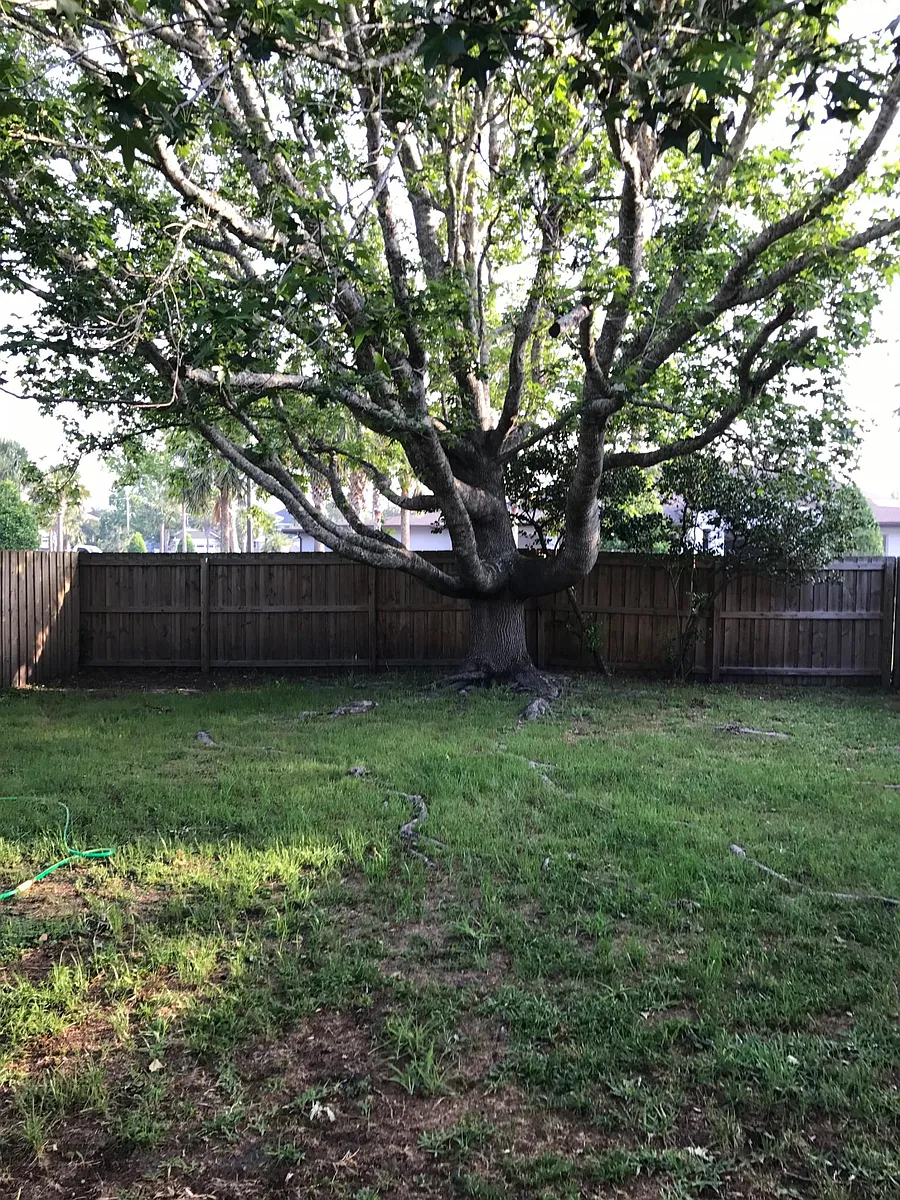 FENCED REAR YARD - 437 Upper 36th Ave S
