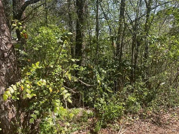 0 Castle Dr, Dalton, GA 30720