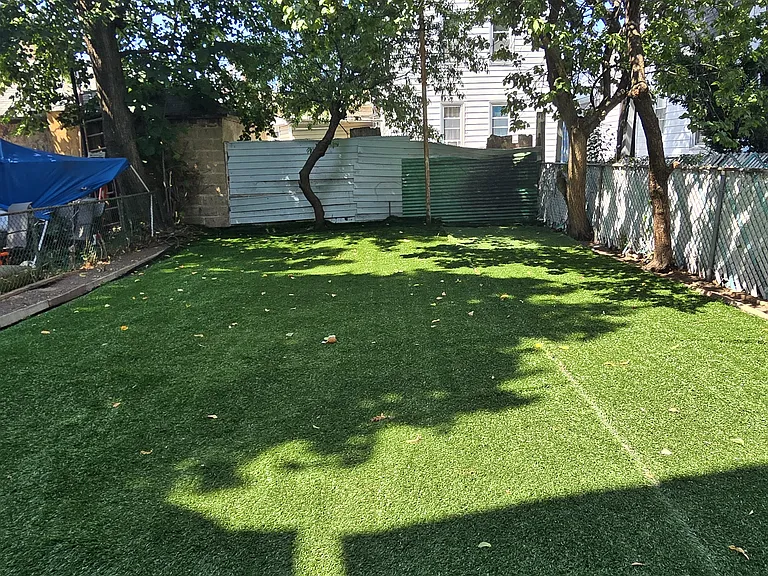 Backyard View 1