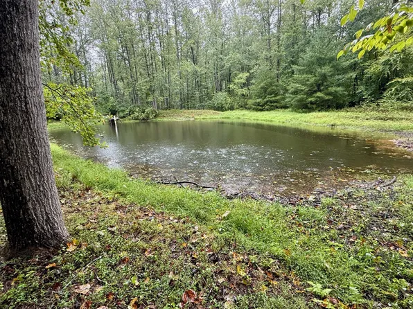 6334 W Hoover Rd, Reva, VA 22735