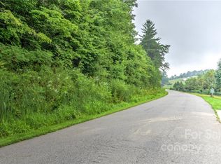 98 Israel Rd #70, Leicester, NC 28748