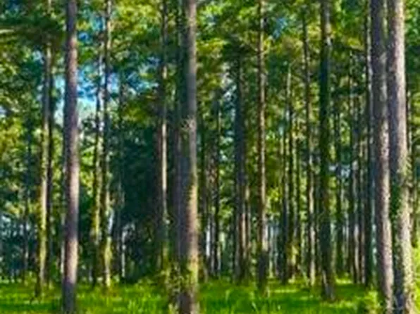 213 Cassie May Blvd Lot 104, Oriental, NC 28571