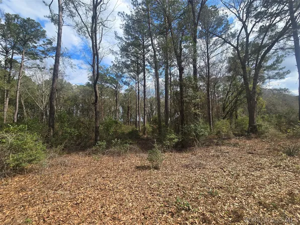 0 County Road 619, Enterprise, AL 36330