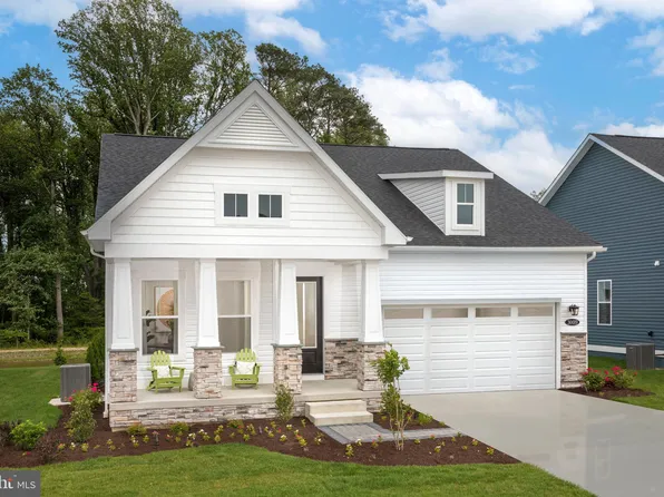 Salt Cedar Drive Palm, Lewes, DE 19958