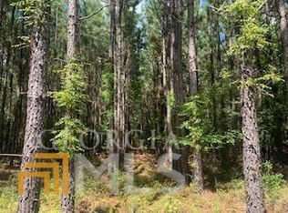 0 Turkey Creek Church Rd, Dublin, GA 31021