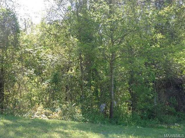 2nd image of 0 Highway 31
