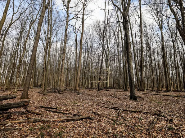 Vl 40th St, Bloomingdale, MI 49026