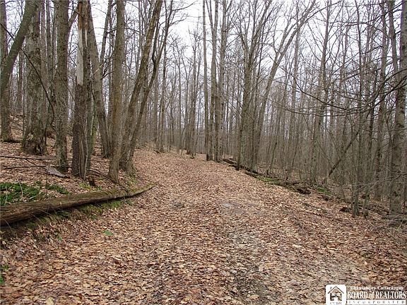 5th image of Homestead Rd