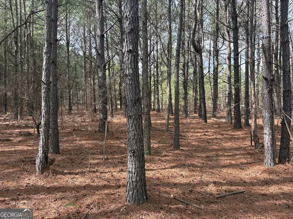 L2 Keysville Boggs Academy Rd, Keysville, GA 30816
