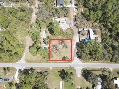 45347 Carolina St LOT 21, Paisley, FL, 32767