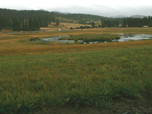3rd image of 0000 Bulldog Creek Parcel #D