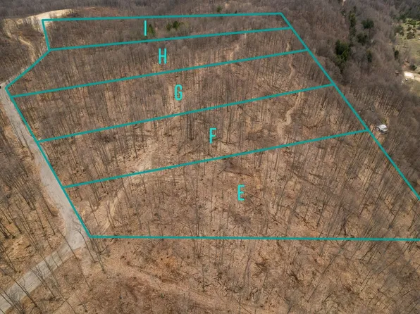 PARCEL Retreats Way #F, Rapid City, MI 49676