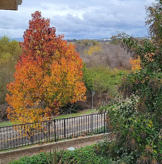 Nothern View