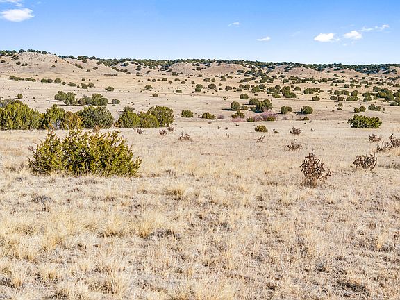 3rd image of County Road 88