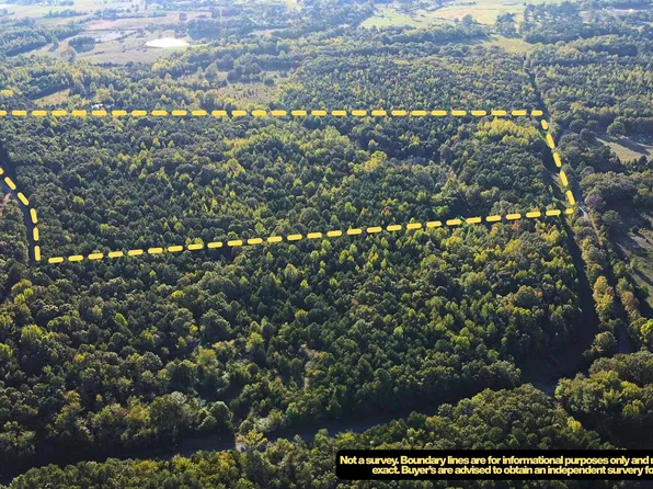 51 Shelton Rd S, Bee Branch, AR 72013