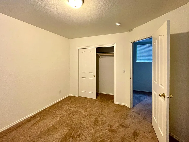539 Fall Dr — Photo 15