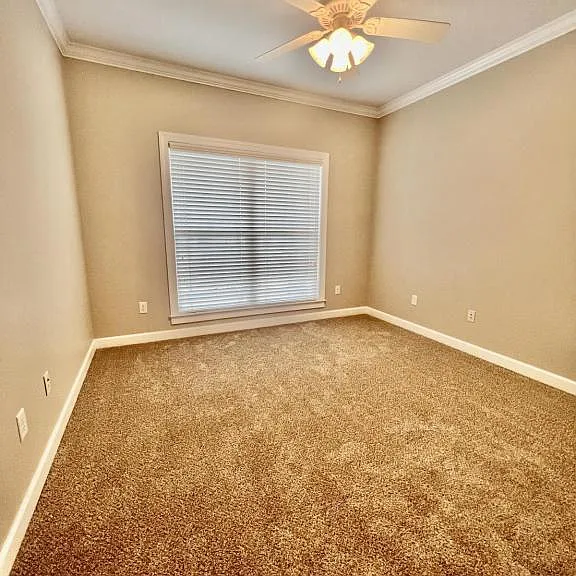215 Savannah Dr — Photo 14
