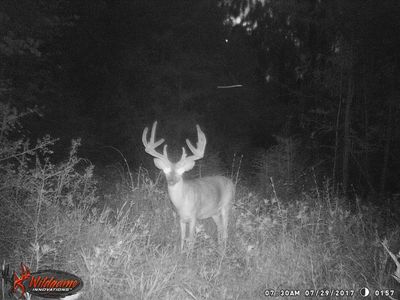 1261 County Road 1013, Newton, TX, 75966