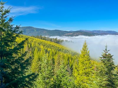 Nhn Pats Knob Rd, Plains, MT, 59859