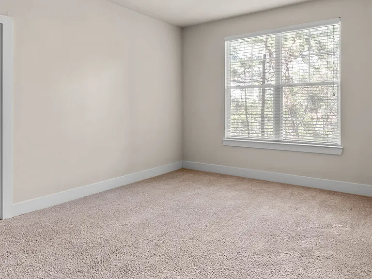 Carpeted Living Room
