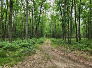 20A Penguin Trl, Grayling, MI 49738