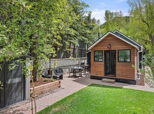 820 E Cooper Ave, Aspen, CO 81611