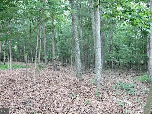 54 Warden Circle Rd, Wardensville, WV 26851